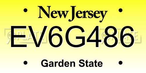 EV6G486 New Jersey License Plate