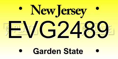 EVG2489 New Jersey License Plate