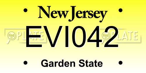 EVI042 New Jersey License Plate