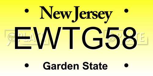 EWTG58 New Jersey License Plate