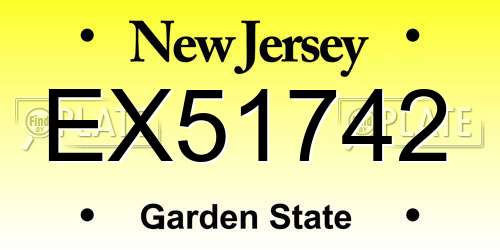 EX51742 New Jersey License Plate