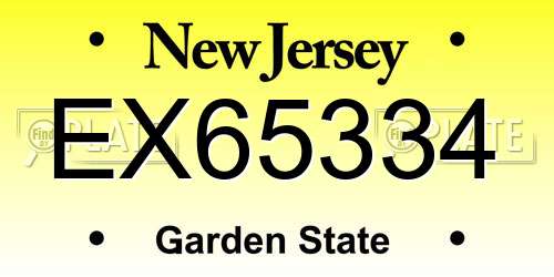 EX65334 New Jersey License Plate