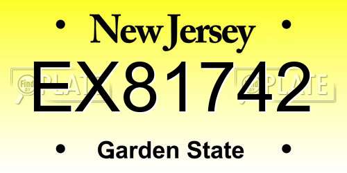 EX81742 New Jersey License Plate