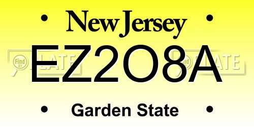 EZ2O8A New Jersey License Plate