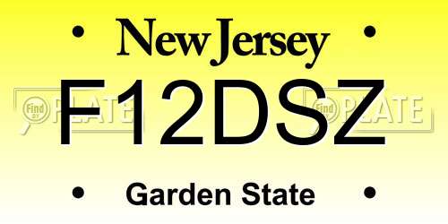 F12DSZ New Jersey License Plate