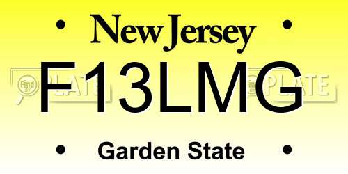 F13LMG New Jersey License Plate