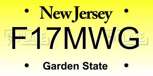 F17MWG New Jersey License Plate