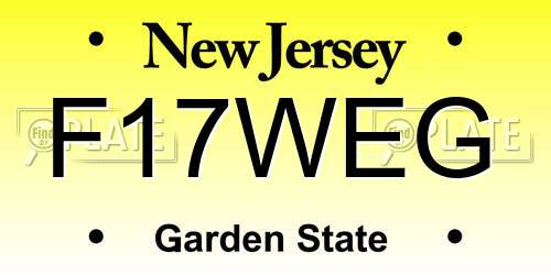 F17WEG New Jersey License Plate