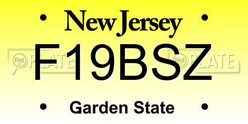 F19BSZ New Jersey License Plate