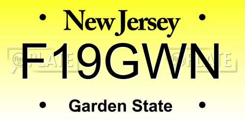 F19GWN New Jersey License Plate