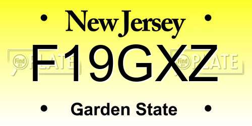 F19GXZ New Jersey License Plate