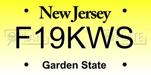 F19KWS New Jersey License Plate