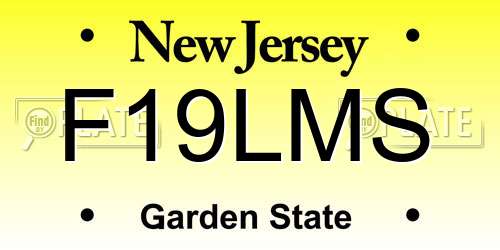 F19LMS New Jersey License Plate