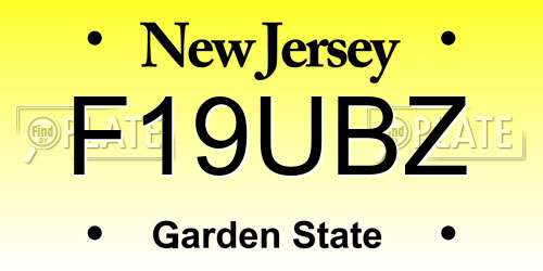 F19UBZ New Jersey License Plate