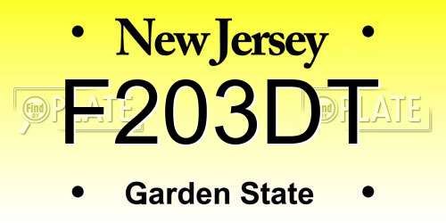 F203DT New Jersey License Plate