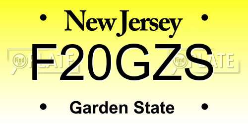 F20GZS New Jersey License Plate