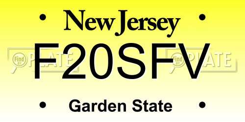 F20SFV New Jersey License Plate