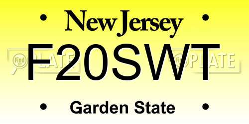 F20SWT New Jersey License Plate