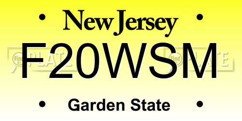 F20WSM New Jersey License Plate
