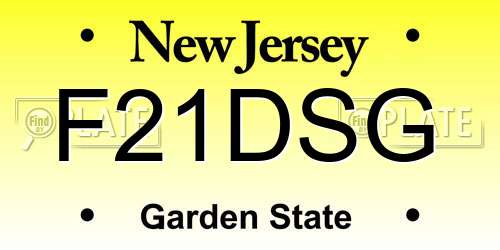 F21DSG New Jersey License Plate