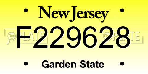 F229628 New Jersey License Plate