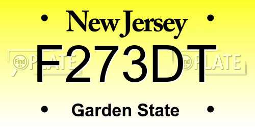 F273DT New Jersey License Plate