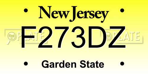 F273DZ New Jersey License Plate