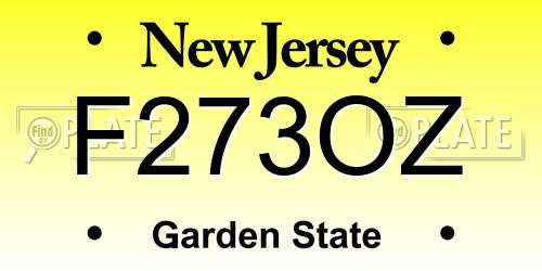 F273OZ New Jersey License Plate