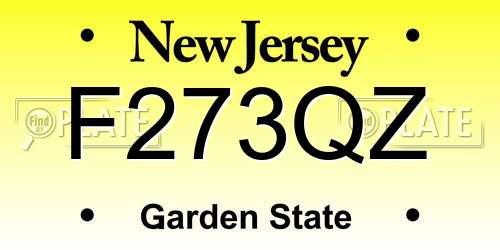 F273QZ New Jersey License Plate