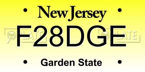 F28DGE New Jersey License Plate