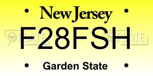 F28FSH New Jersey License Plate