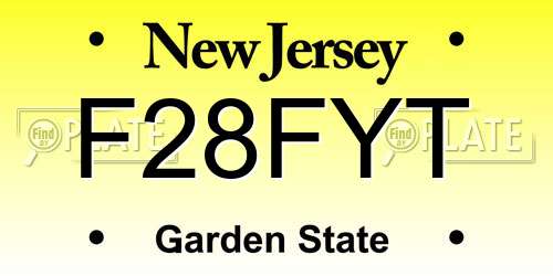 F28FYT New Jersey License Plate