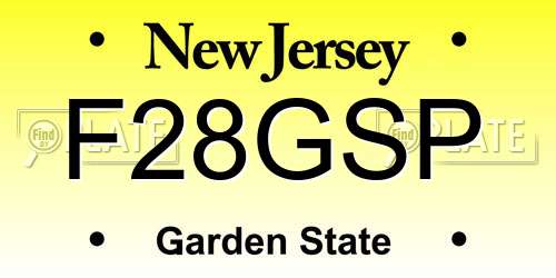 F28GSP New Jersey License Plate
