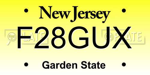 F28GUX New Jersey License Plate