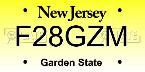 F28GZM New Jersey License Plate
