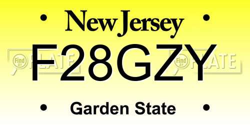F28GZY New Jersey License Plate