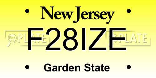 F28IZE New Jersey License Plate