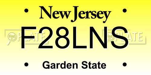 F28LNS New Jersey License Plate