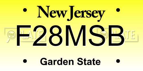 F28MSB New Jersey License Plate