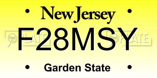 F28MSY New Jersey License Plate