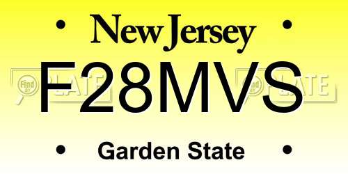 F28MVS New Jersey License Plate