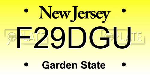 F29DGU New Jersey License Plate