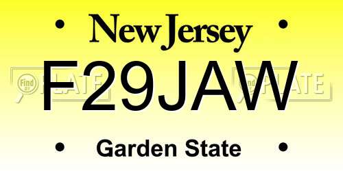F29JAW New Jersey License Plate
