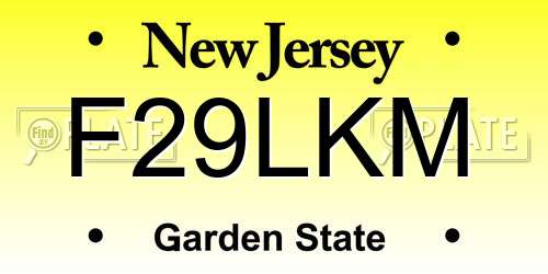 F29LKM New Jersey License Plate