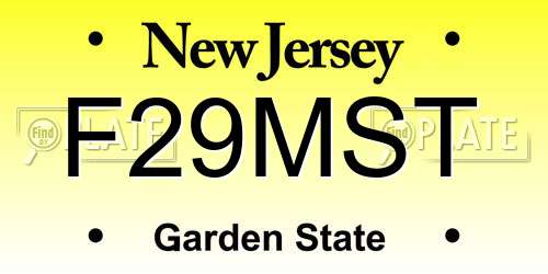 F29MST New Jersey License Plate