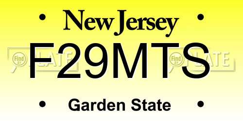 F29MTS New Jersey License Plate