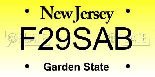 F29SAB New Jersey License Plate