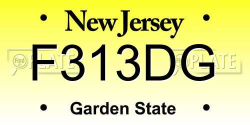 F313DG New Jersey License Plate