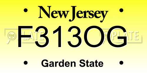 F313OG New Jersey License Plate