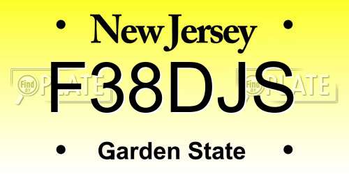 F38DJS New Jersey License Plate